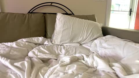 Snapshot of beachymilf chatting on September 23, 9:13 pm BeachyMILF online show from September 23, 9:13 pm