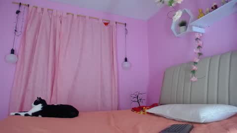 bella_gentle online show from December 31, 10:58 am