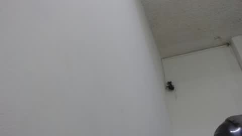 Snapshot of bella_lady_1_ chatting on February 13, 8:24 pm lady online show from February 13, 8:24 pm