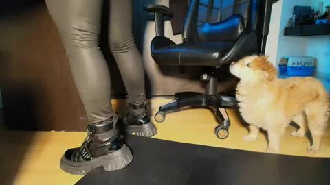 Snapshot of bellangel_ chatting on September 16, 10:51 pm Camille online show from September 16, 10:51 pm