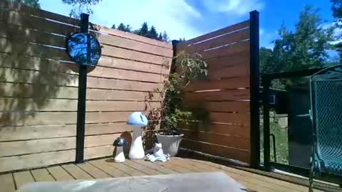 bendybadbaby online show from June 15, 3:34 pm
