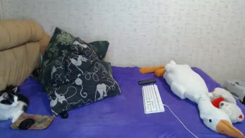 Snapshot of bestbestt885 chatting on February 14, 10:58 pm bestbestt885 online show from February 14, 10:58 pm