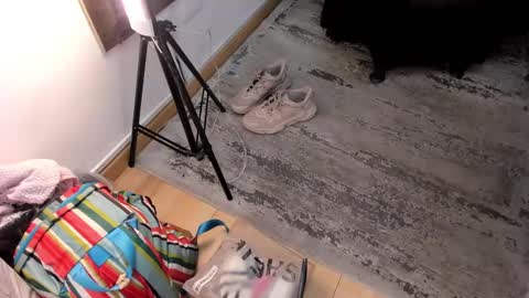 BESHA... online show from February 17, 7:23 pm