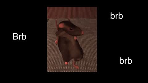  Black Kittie    Wednesday - 1300 - 1900 GMT help me get 100 thumbs up online show from January 8, 1:41 pm