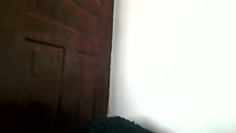 black_paanther online show from September 13, 10:45 am
