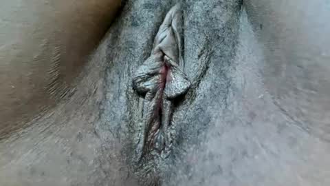 fiona online show from January 25, 1:35 pm