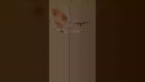 Anita online show from April 16, 3:18 am