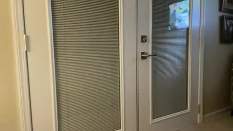 IM TRYNG online show from December 3, 9:00 am