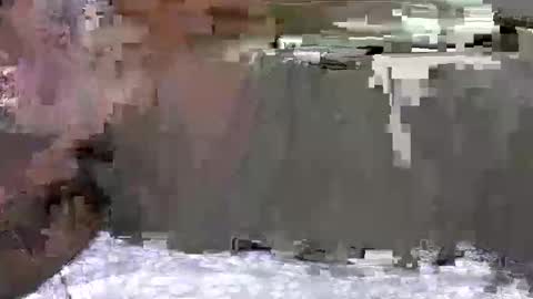 Avanna online show from January 28, 7:10 pm