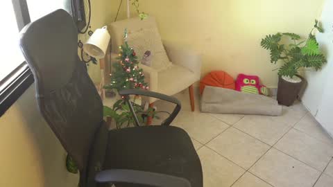 Snapshot of bluemysticlady chatting on December 12, 10:24 am FLORAA online show from December 12, 10:24 am