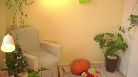 Snapshot of bluemysticlady chatting on December 4, 11:19 am FLORAA online show from December 4, 11:19 am