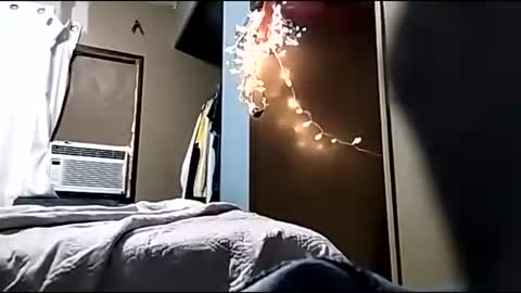 Boobookittydykes online show from October 30, 6:05 am