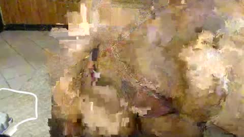 booby_candy online show from January 13, 4:28 am