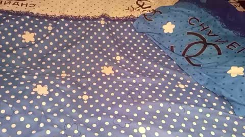 bossetassy online show from December 16, 4:46 pm