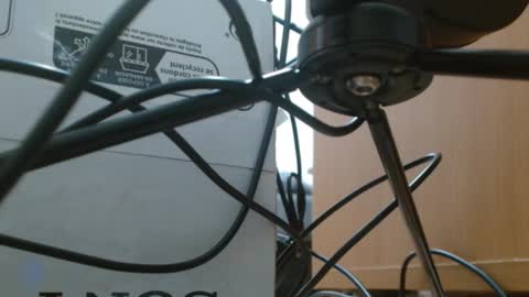 brigittebia777 online show from October 10, 3:33 am