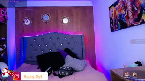 Bunny online show from December 29, 8:26 pm