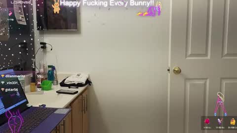 Snapshot of bunnycheekz chatting on December 29, 11:08 pm Tokki bunny online show from December 29, 11:08 pm