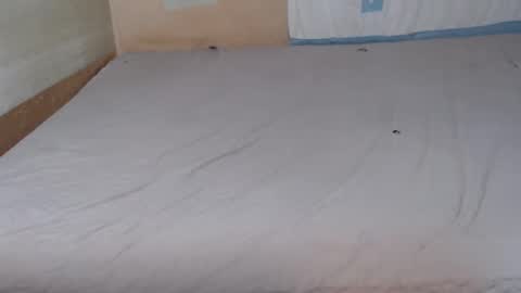 bustybbwx online show from February 14, 8:37 pm