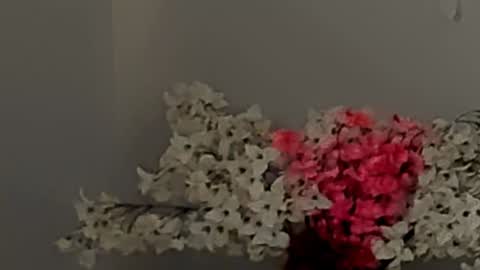 kate online show from December 2, 11:16 pm