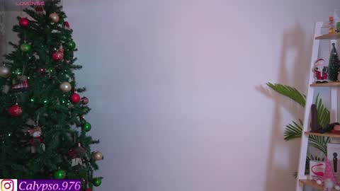 Calypso and Kayla online show from December 4, 8:29 pm