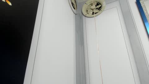 Camila  online show from December 24, 10:11 am