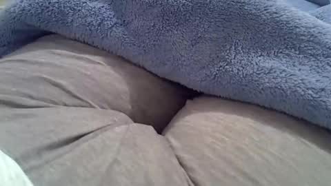 Snapshot of camilaperes69 chatting on October 2, 2:05 am flash 50 tokens BIG CLIT tits pussy. masturbation big clit 150 tokens fingers inside pussy 1000 tk pump big clit 300 tk online show from October 2, 2:05 am