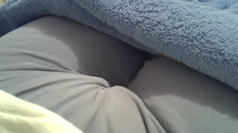 Snapshot of camilaperes69 chatting on October 3, 2:16 am flash 50 tokens BIG CLIT tits pussy. masturbation big clit 150 tokens fingers inside pussy 1000 tk pump big clit 300 tk online show from October 3, 2:16 am