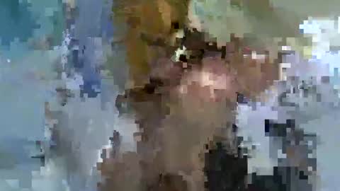 Snapshot of candy_kyle chatting on September 8, 7:57 pm candy kyle online show from September 8, 7:57 pm
