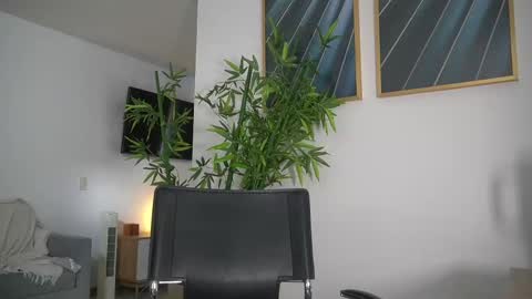 Jency NEW IG IMCANELA   online show from September 10, 7:36 pm