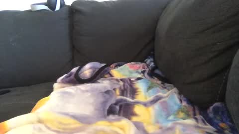 Snapshot of cannakams chatting on September 22, 7:34 pm online show from September 22, 7:34 pm