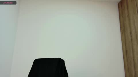Char online show from January 17, 2:08 am