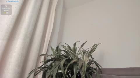 carolina_t online show from January 16, 2:09 am