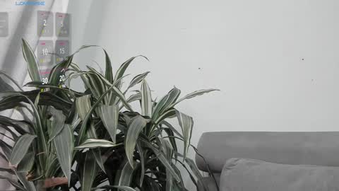 carolina_t online show from January 22, 12:59 am