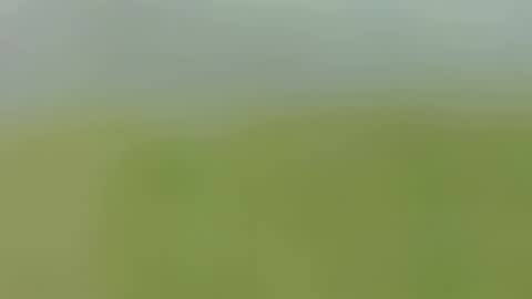 Caro online show from September 24, 1:59 am