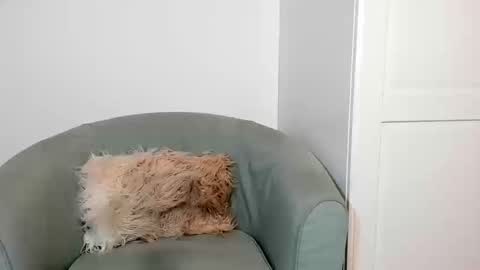 cassiecute - onlyfans account online show from March 12, 8:55 pm