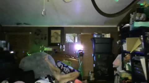 cassistiger69 online show from November 2, 7:12 am