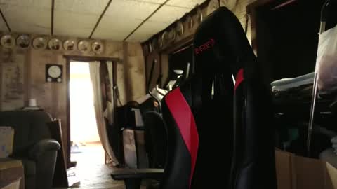 cat online show from October 24, 4:25 pm