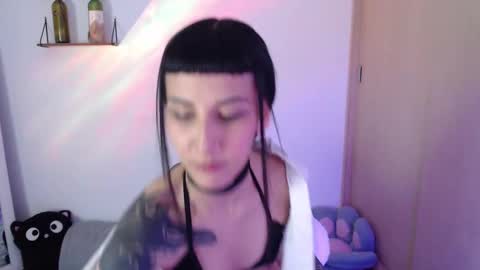 Snapshot of cat_black___ chatting on February 20, 1:57 am cat online show from February 20, 1:57 am