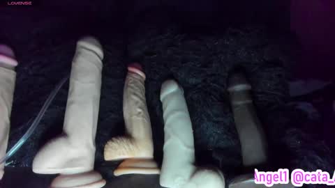 Cata Angel online show from November 24, 1:29 am