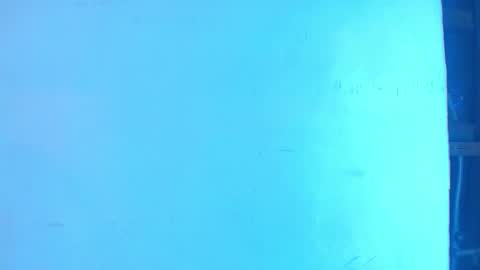 Cataleya online show from November 26, 11:22 am