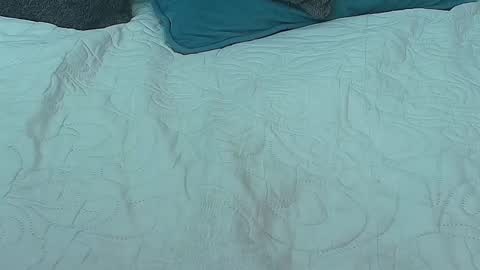 cata online show from October 7, 7:02 am