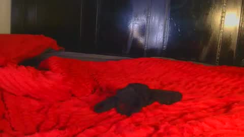 Snapshot of cathynoir chatting on September 19, 2:43 am catrine online show from September 19, 2:43 am