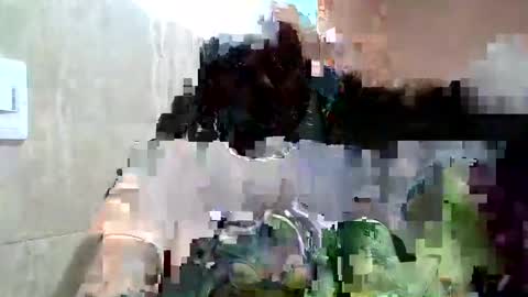 Snapshot of celesteredds chatting on February 22, 11:10 pm Celeste online show from February 22, 11:10 pm