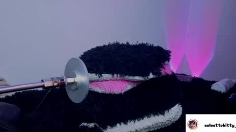 celestte_evans_1 online show from March 6, 5:57 am