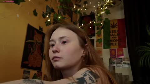 Snapshot of charming_lilly chatting on January 23, 8:45 pm Lissa online show from January 23, 8:45 pm