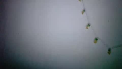 cherry online show from May 6, 8:40 am