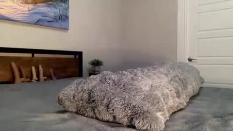 cherry sin online show from September 26, 2:20 am