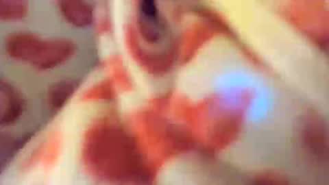 Snapshot of chillwithcamii chatting on October 23, 1:22 am yoursensualparadise online show from October 23, 1:22 am