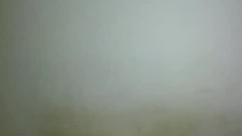 Snapshot of chocolatebony_ chatting on January 22, 10:06 pm chocolatebony_ online show from January 22, 10:06 pm