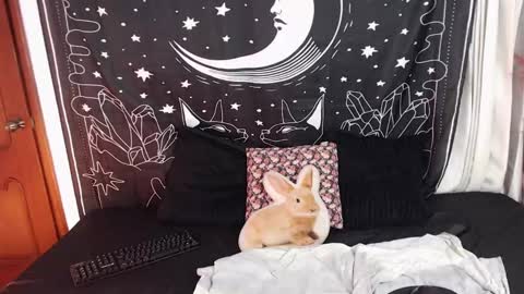 Cloe  online show from January 22, 2:15 am